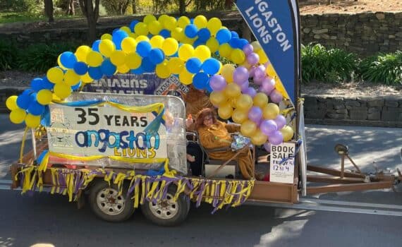 Costume Hire Mount Barker Christmas Pageant